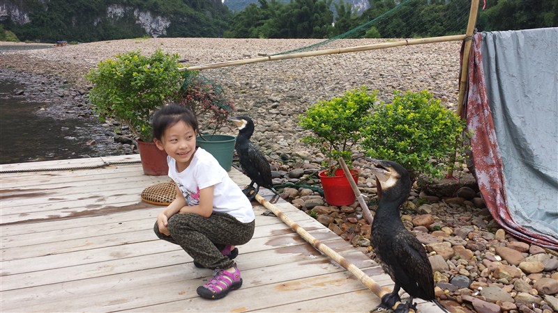 child_bird